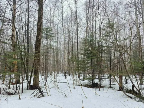 1500 Allard Hill Road Wheelock VT 05851