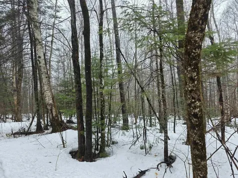 1500 Allard Hill Road Wheelock VT 05851