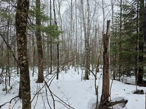 1500 Allard Hill Road Wheelock VT 05851