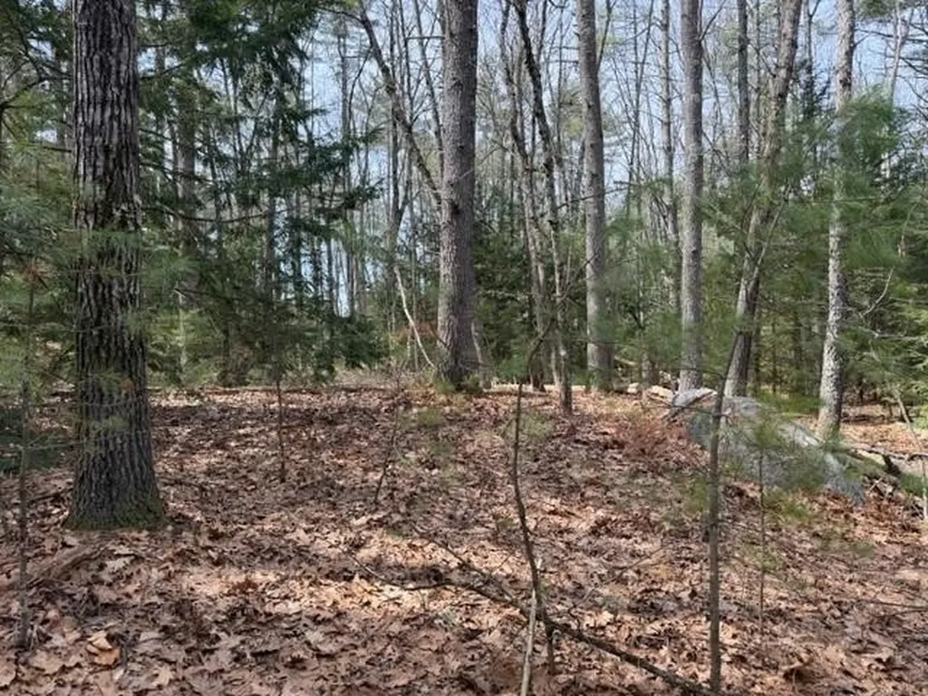 000 Ruonala Road Milford NH 03055