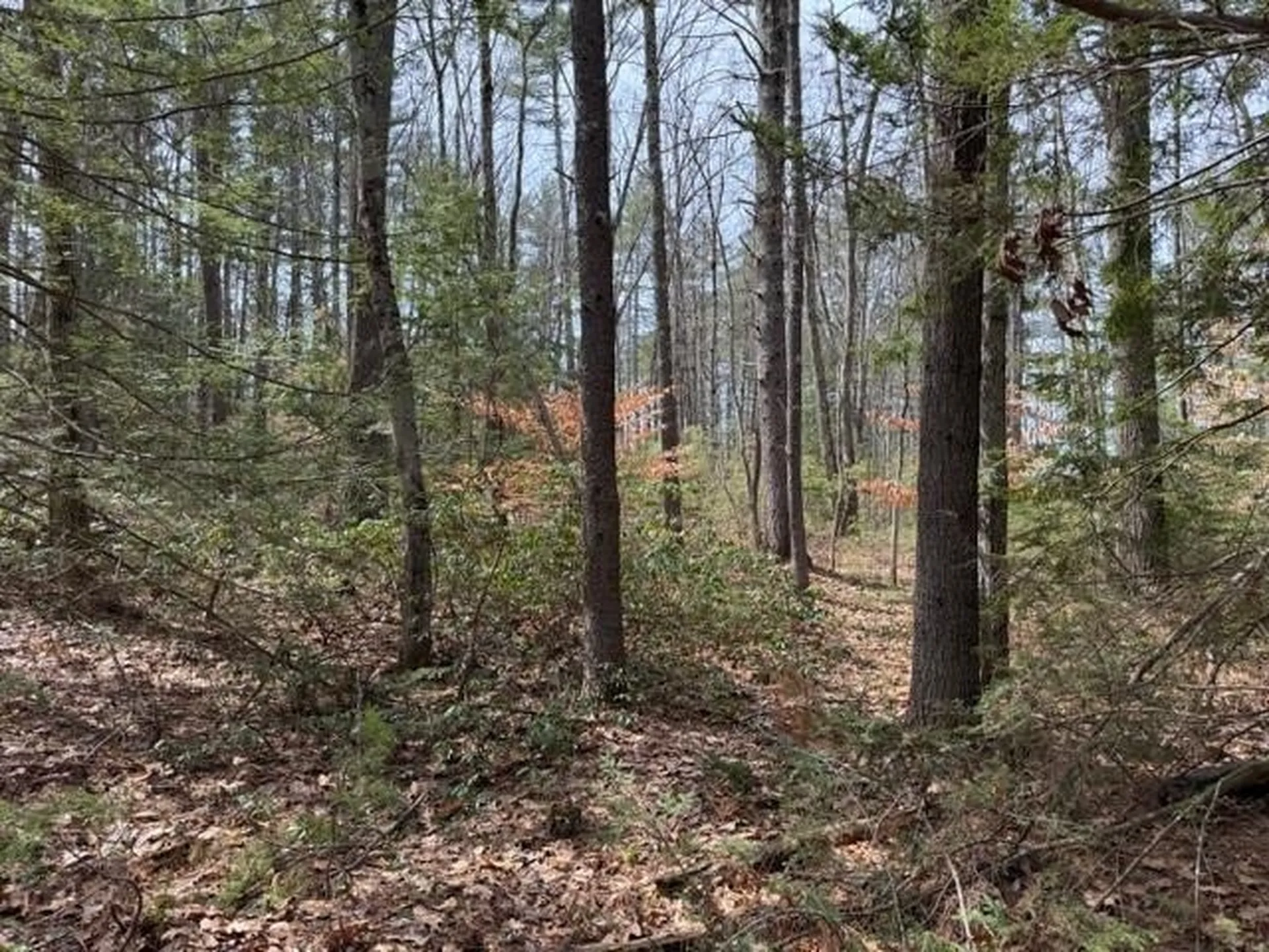 000 Ruonala Road Milford NH 03055