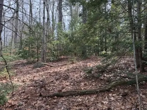 000 Ruonala Road Milford NH 03055