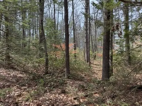 000 Ruonala Road Milford NH 03055