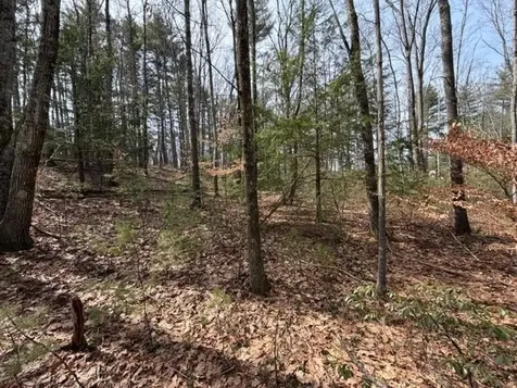 000 Ruonala Road Milford NH 03055