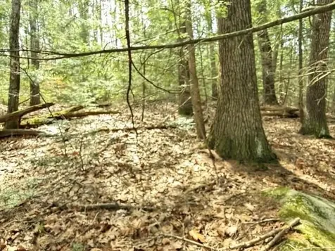 000 Ruonala Road Milford NH 03055