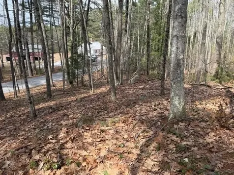 000 Ruonala Road Milford NH 03055