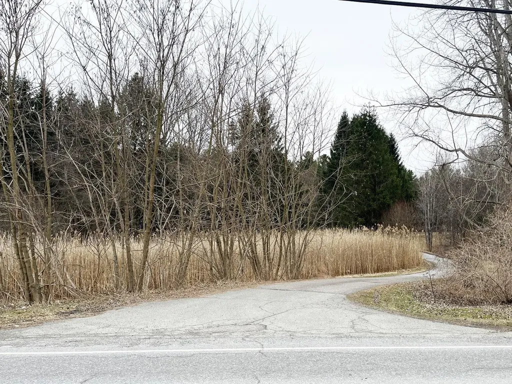 376 Mountain View Road Williston VT 05495