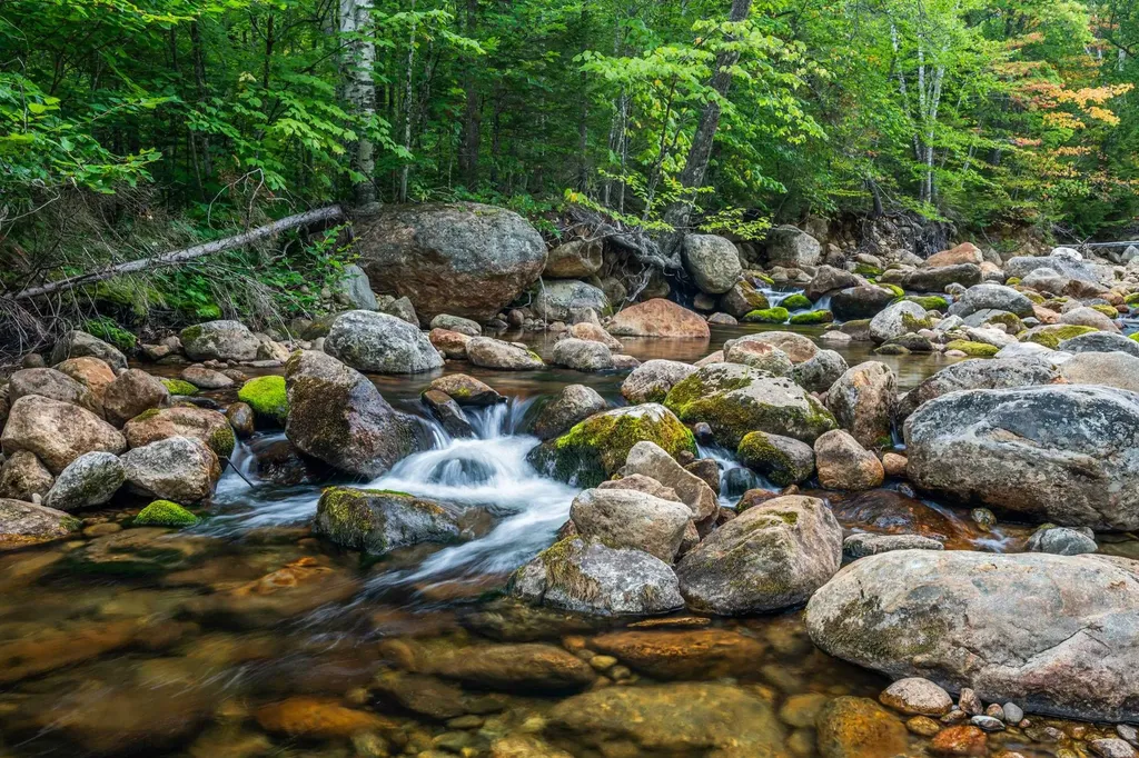 20 Meloon Road Jackson NH 03846