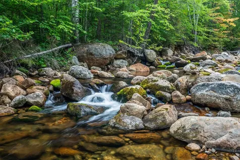 20 Meloon Road Jackson NH 03846