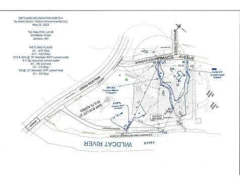 20 Meloon Road Jackson NH 03846