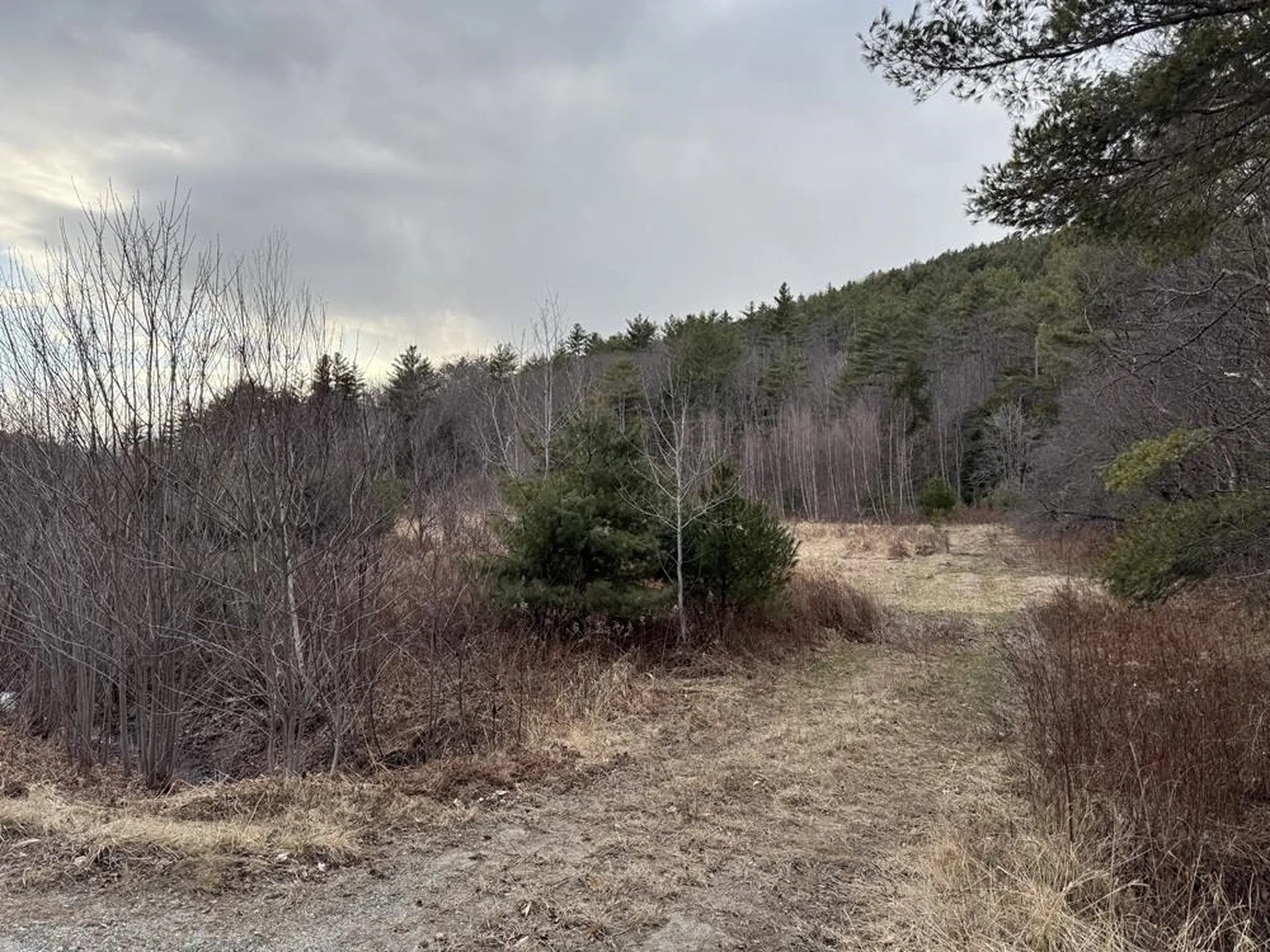 R13-006-001 Route 25c Piermont NH 03779