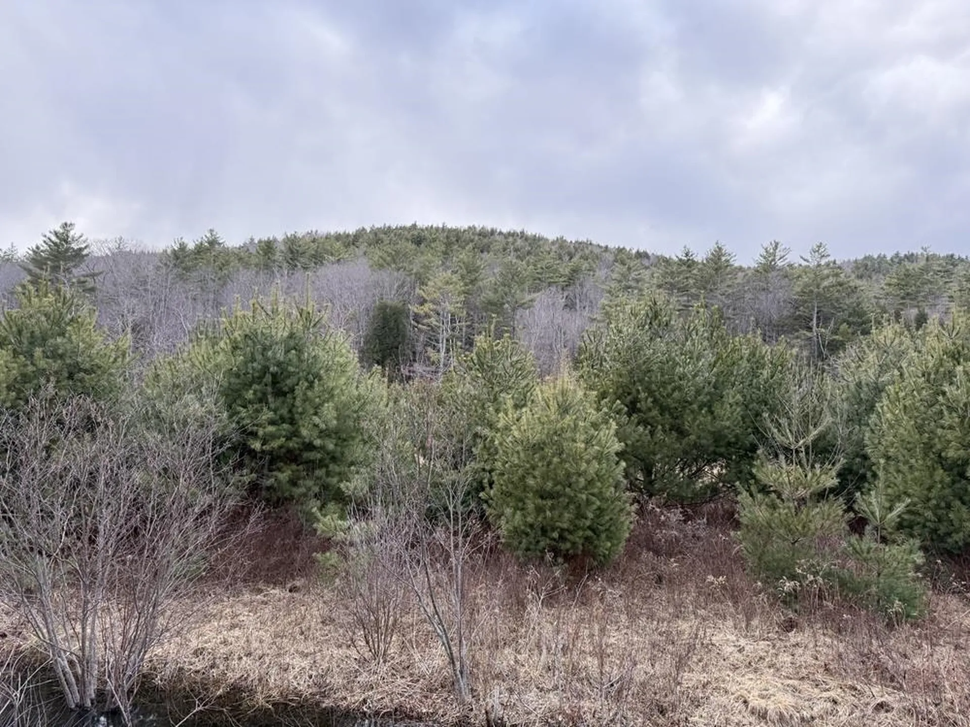 R13-006-001 Route 25c Piermont NH 03779