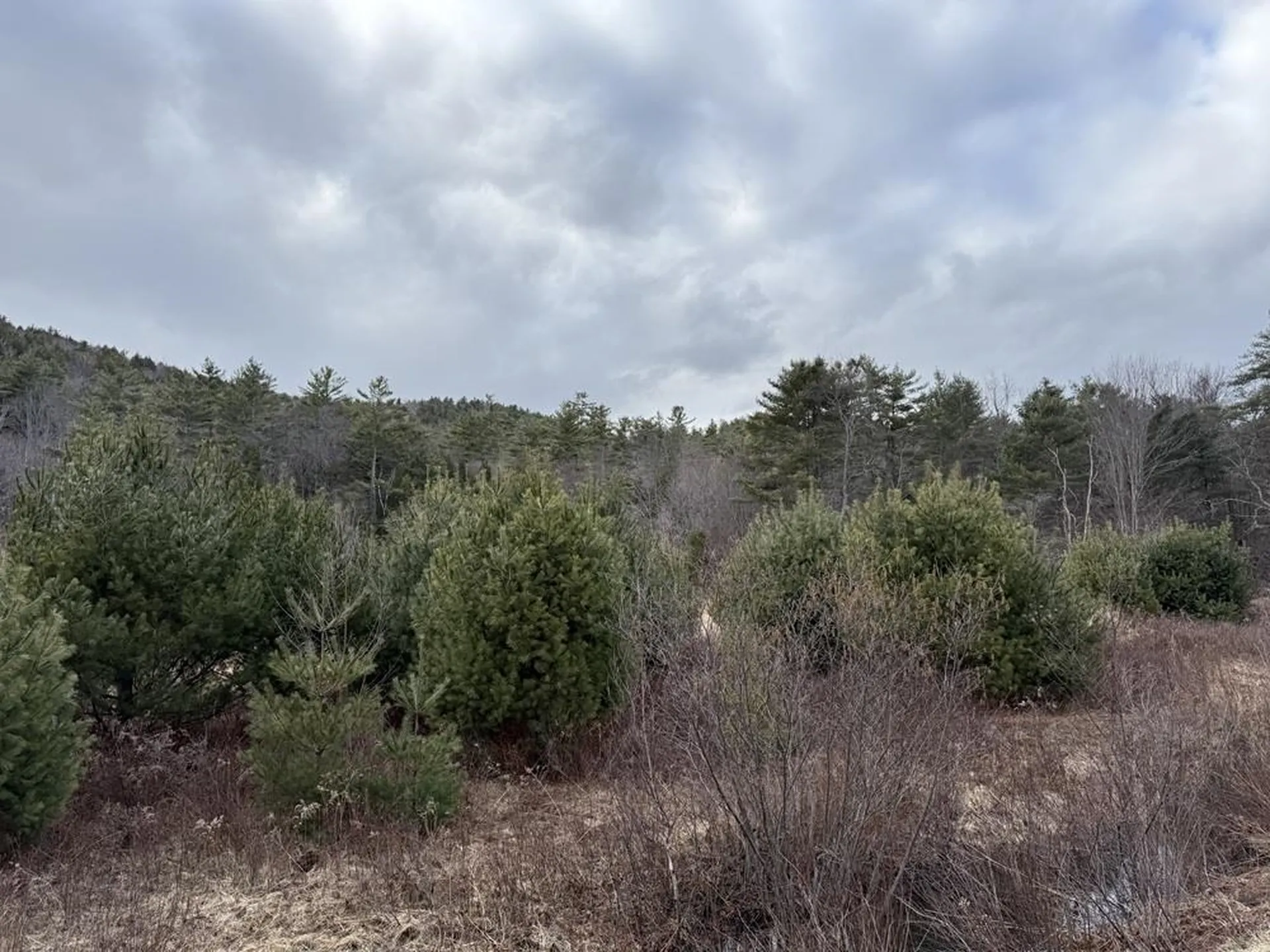 R13-006-001 Route 25c Piermont NH 03779