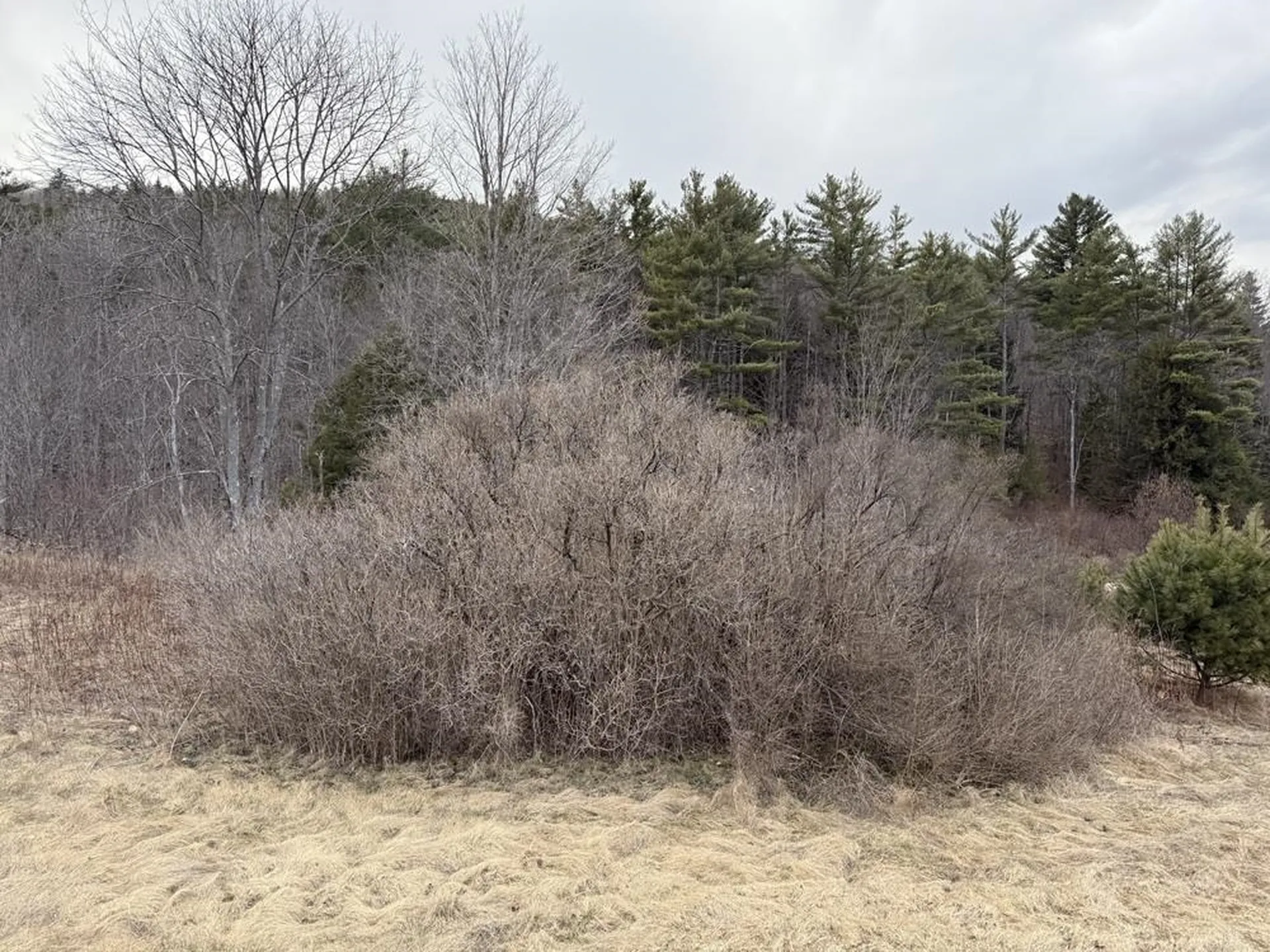R13-006-001 Route 25c Piermont NH 03779