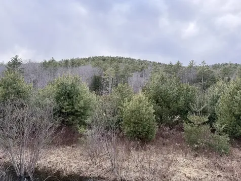 R13-006-001 Route 25c Piermont NH 03779