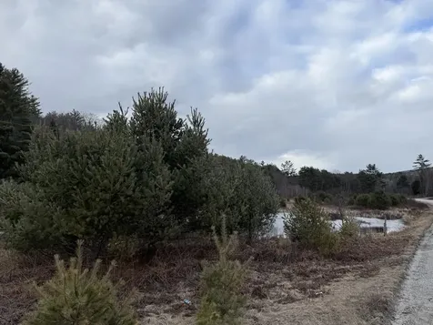 R13-006-001 Route 25c Piermont NH 03779