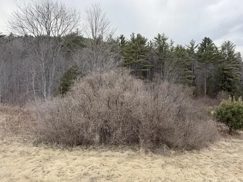 R13-006-001 Route 25c Piermont NH 03779