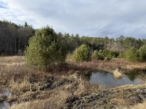 R13-006-001 Route 25c Piermont NH 03779