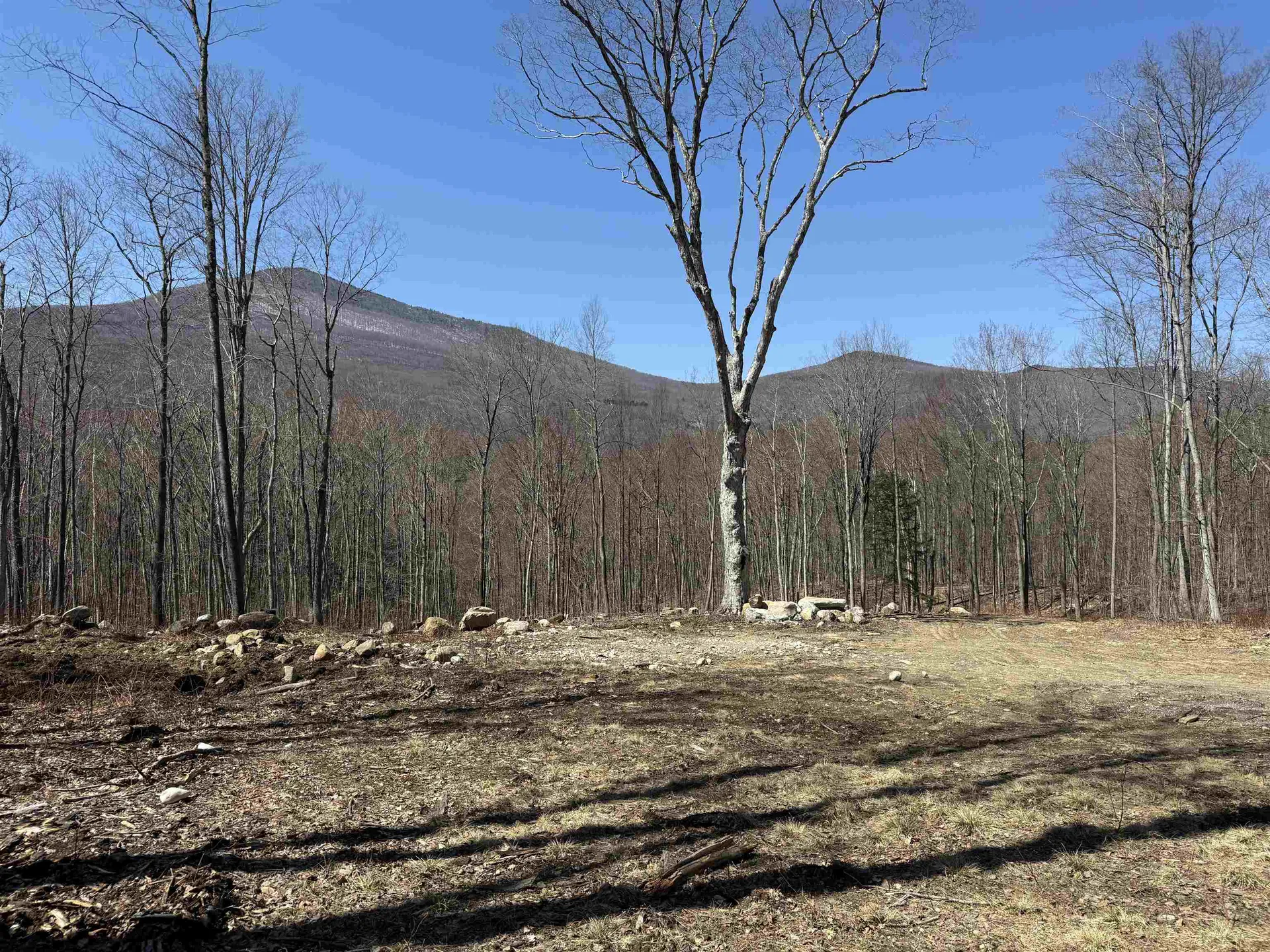 0 Rocky Lane Dorset VT 05253
