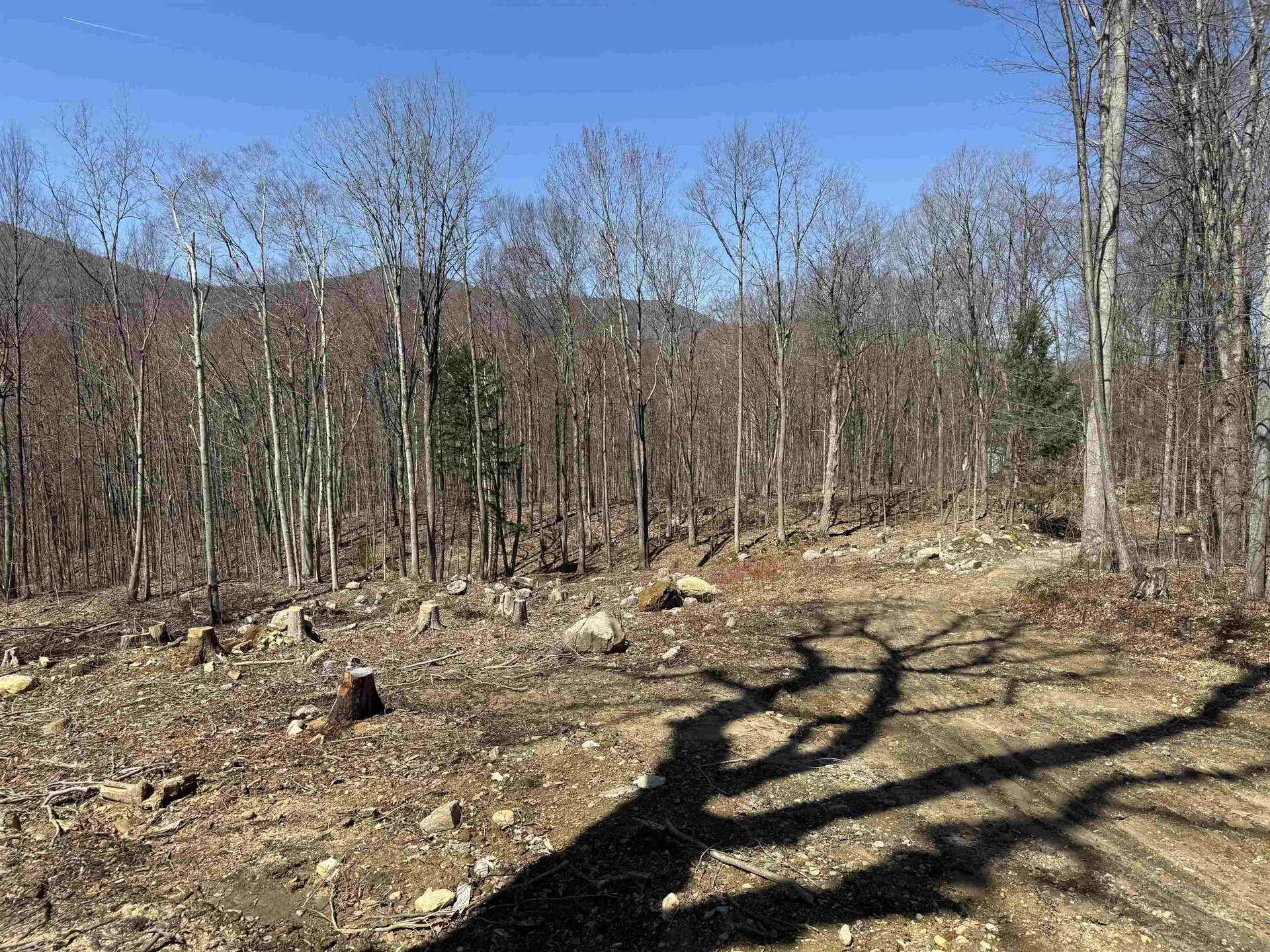 0 Rocky Lane Dorset VT 05253