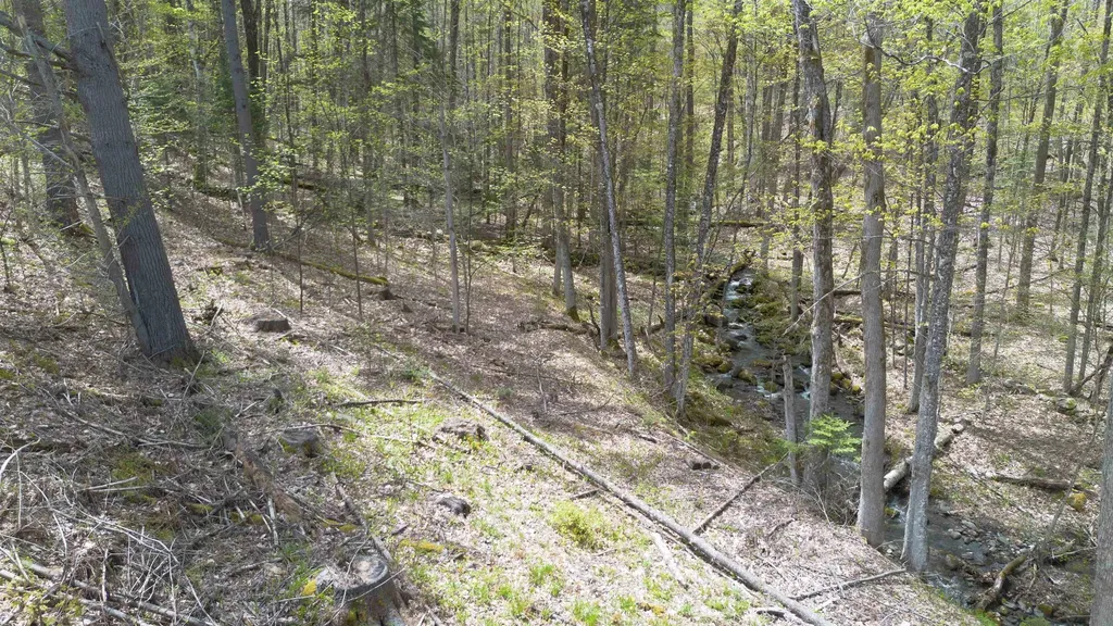 420 Gale Chandler Road Landaff NH 03585
