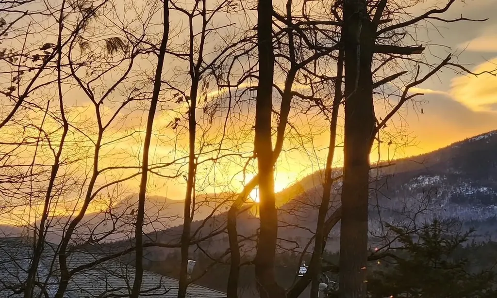 8 Champney Road Conway NH 03860