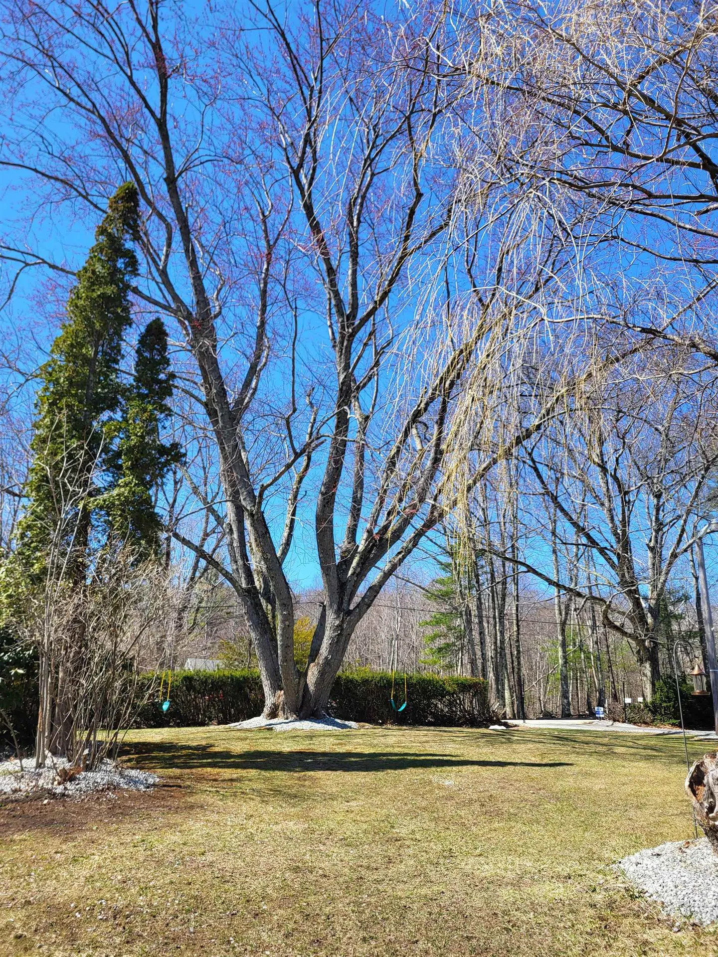 55 Lane Road Chichester NH 03258