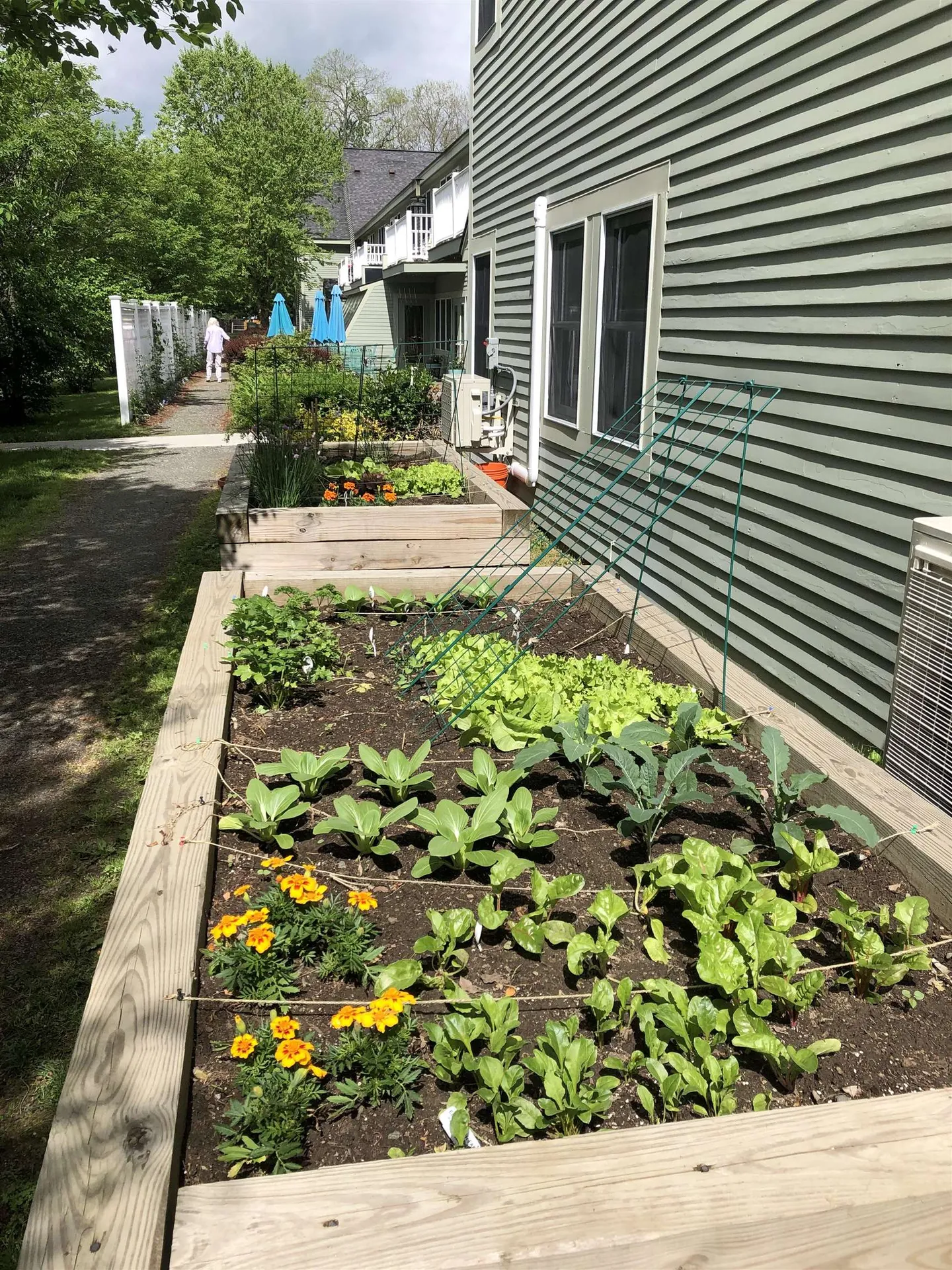 53 Lyme Road Hanover NH 03755
