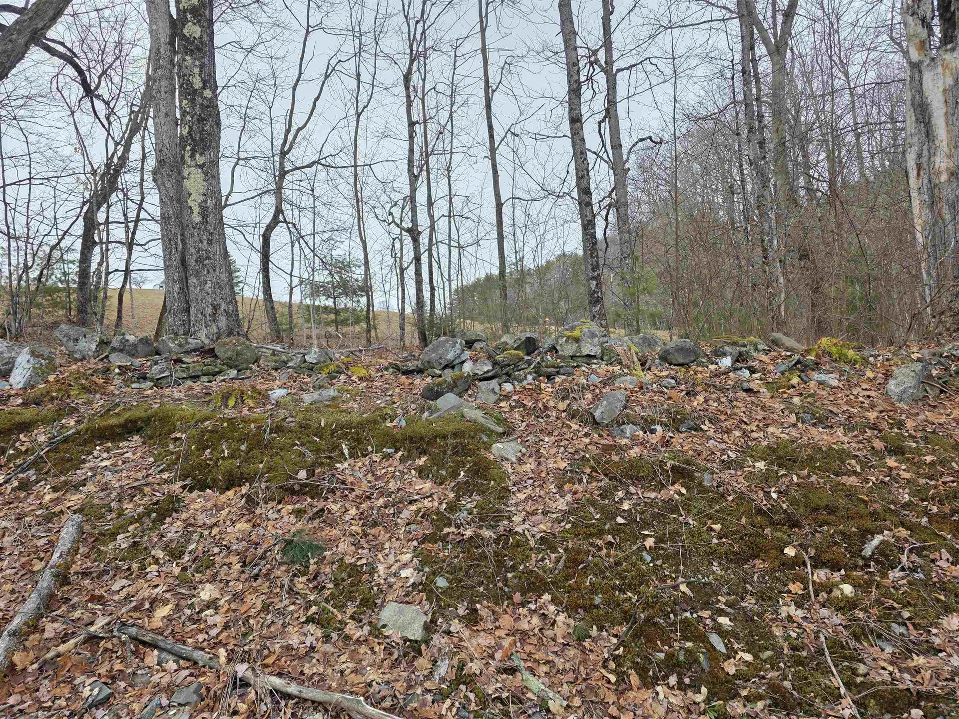 1095 Slate Ledge Road Waterford VT 05819