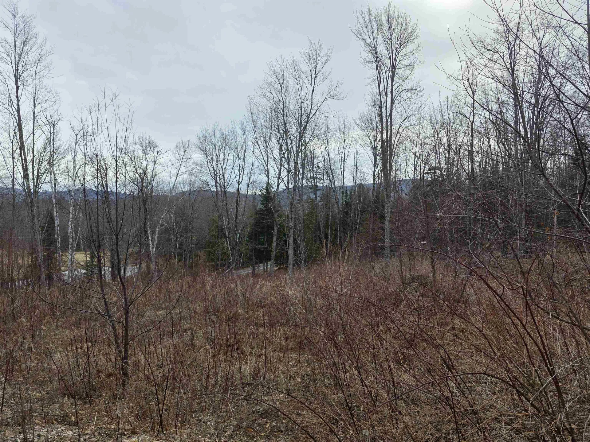 1095 Slate Ledge Road Waterford VT 05819