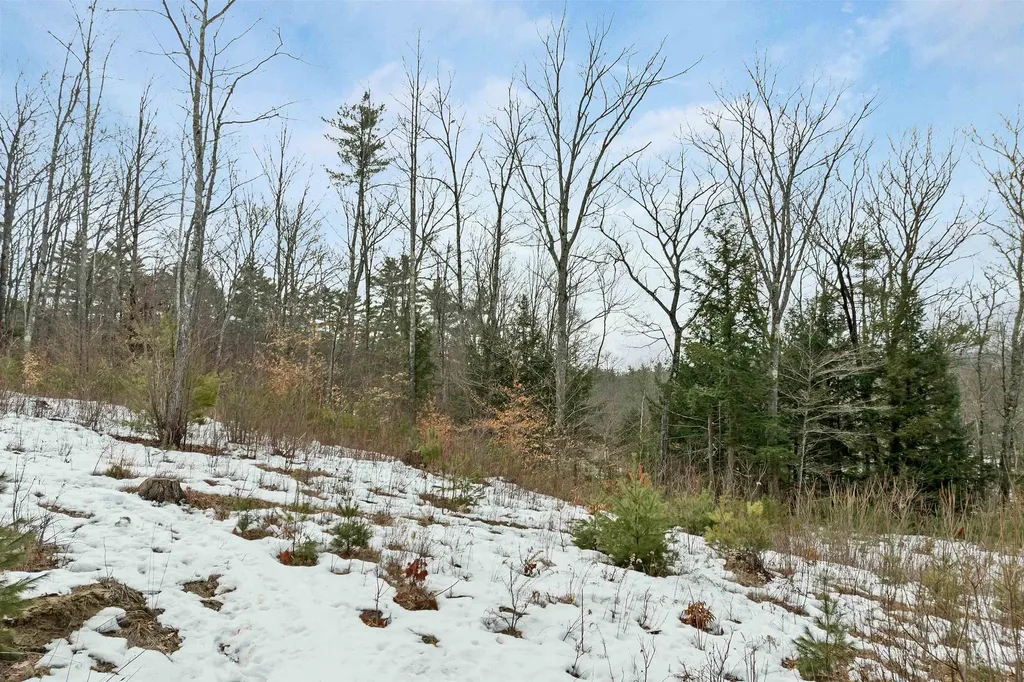 35 Susie Lane Thornton NH 03285