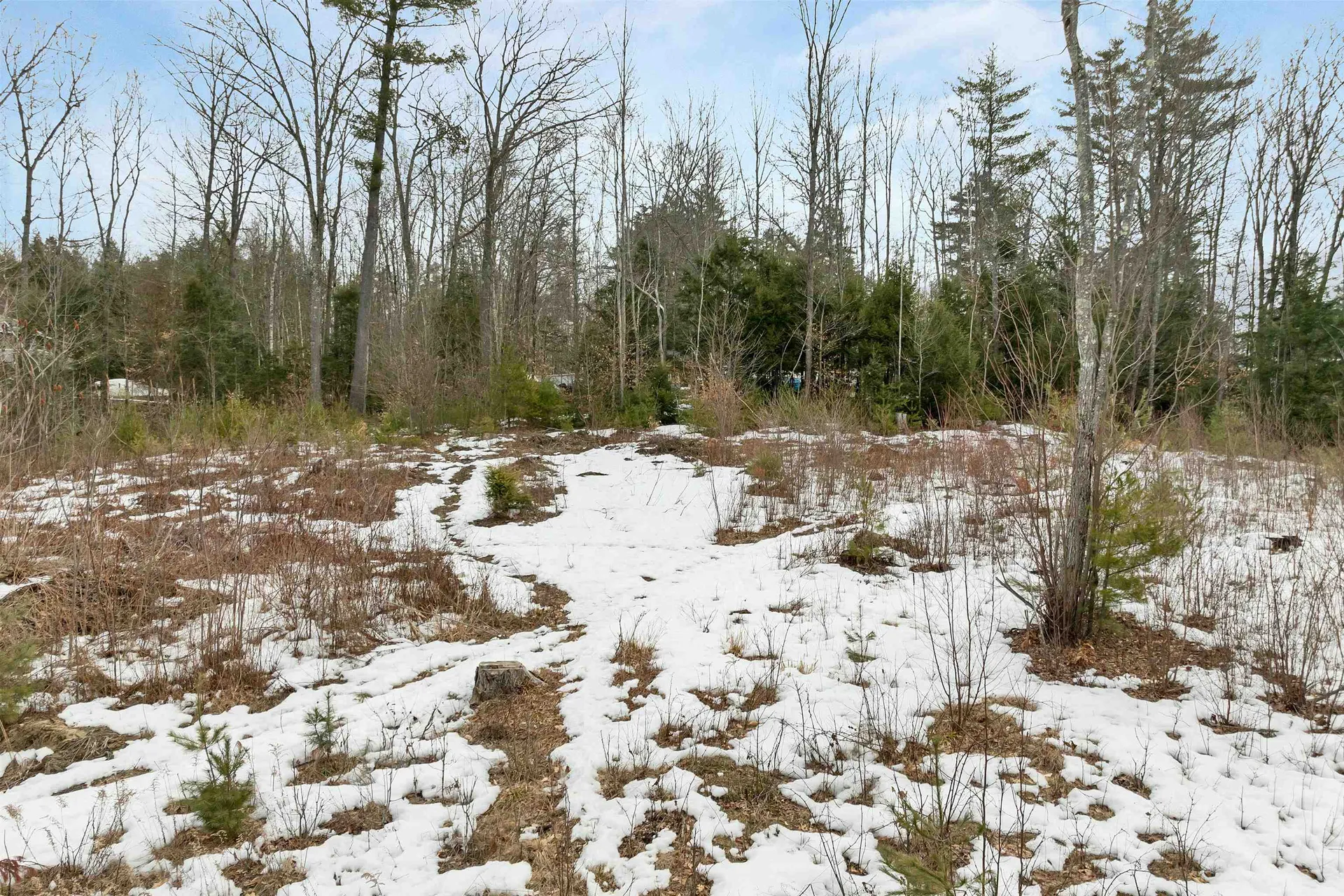 35 Susie Lane Thornton NH 03285