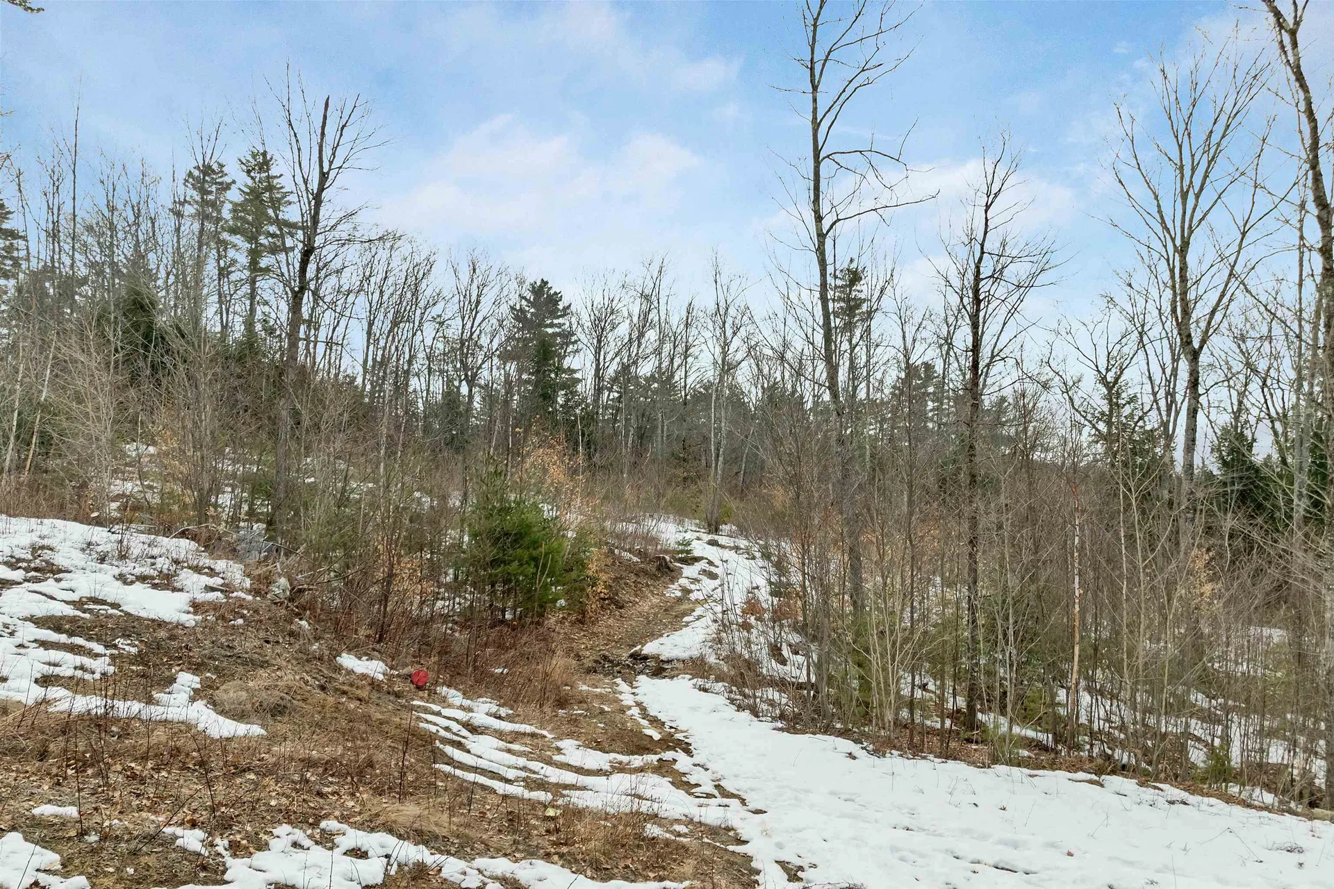 35 Susie Lane Thornton NH 03285