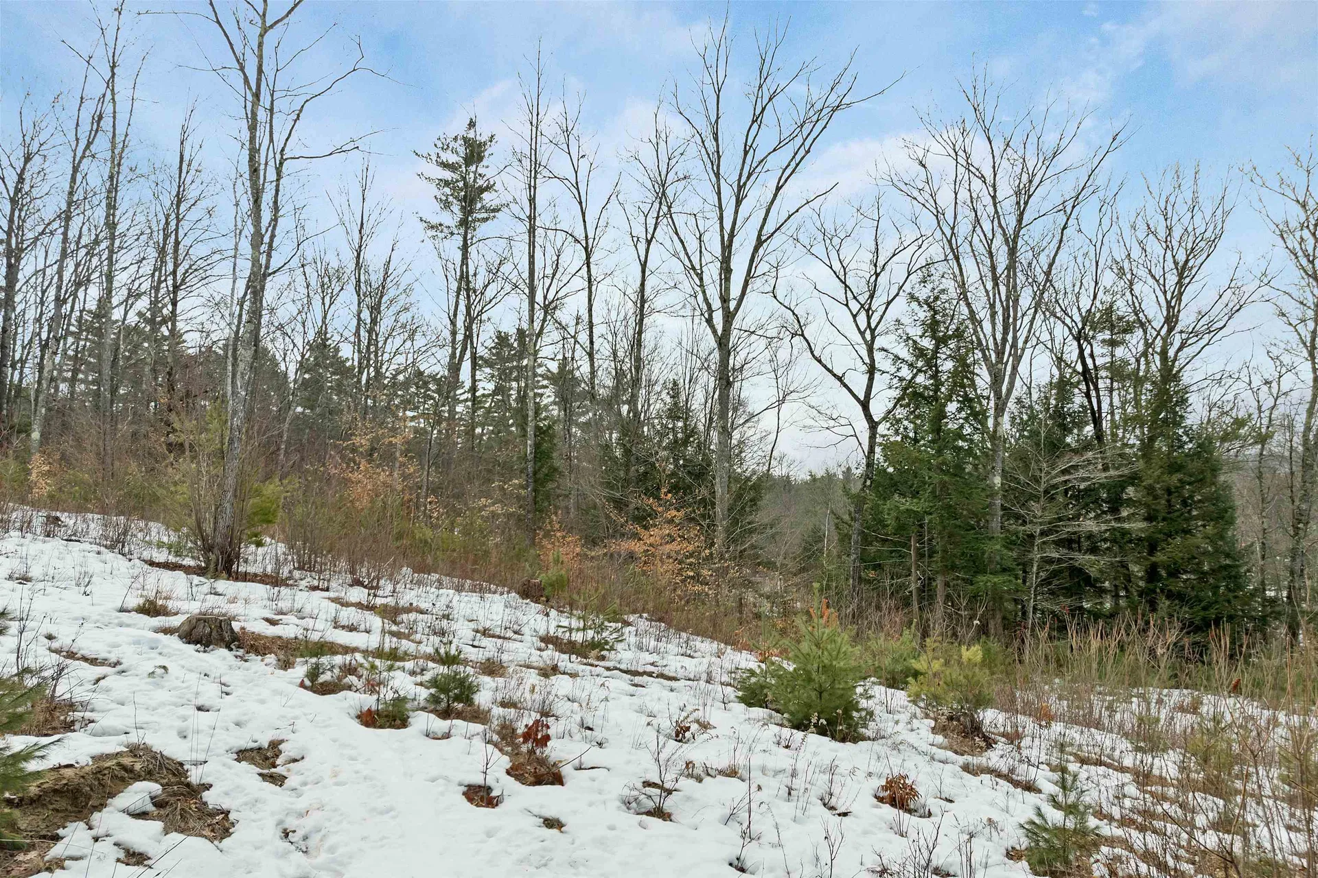 35 Susie Lane Thornton NH 03285