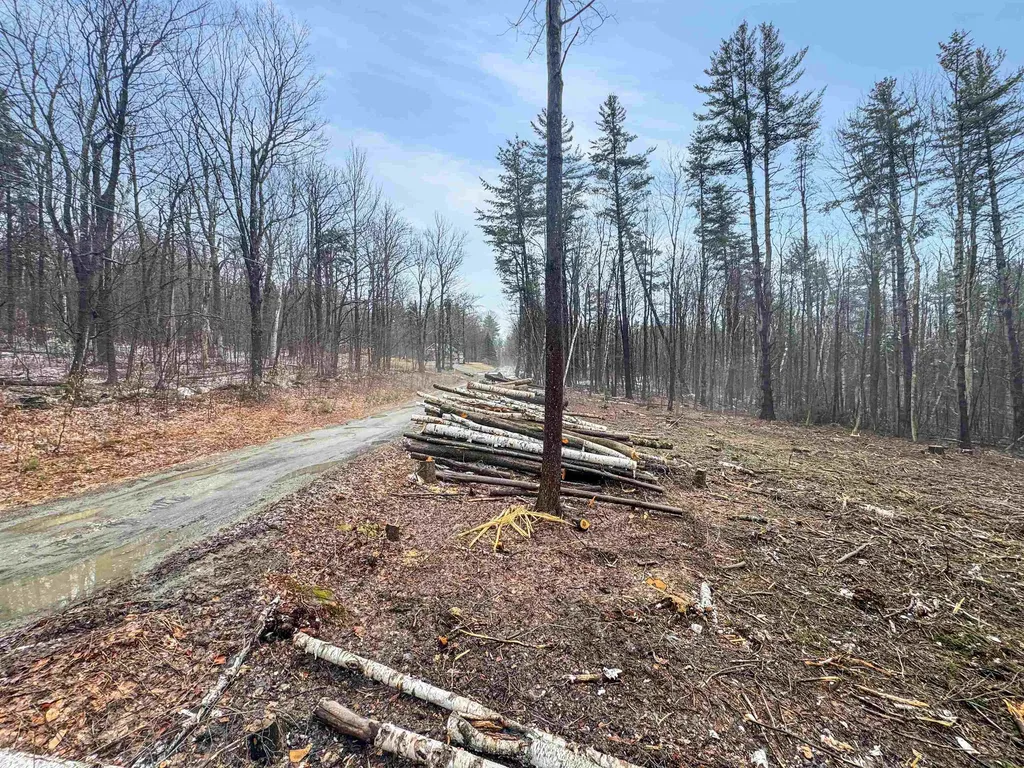 0 Hunt Road Wardsboro VT 05355