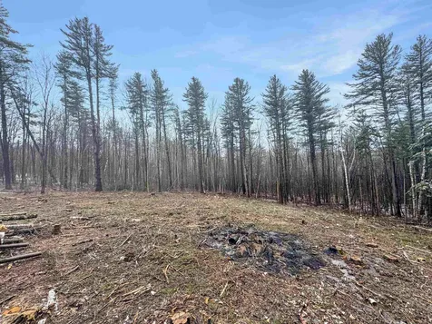 0 Hunt Road Wardsboro VT 05355