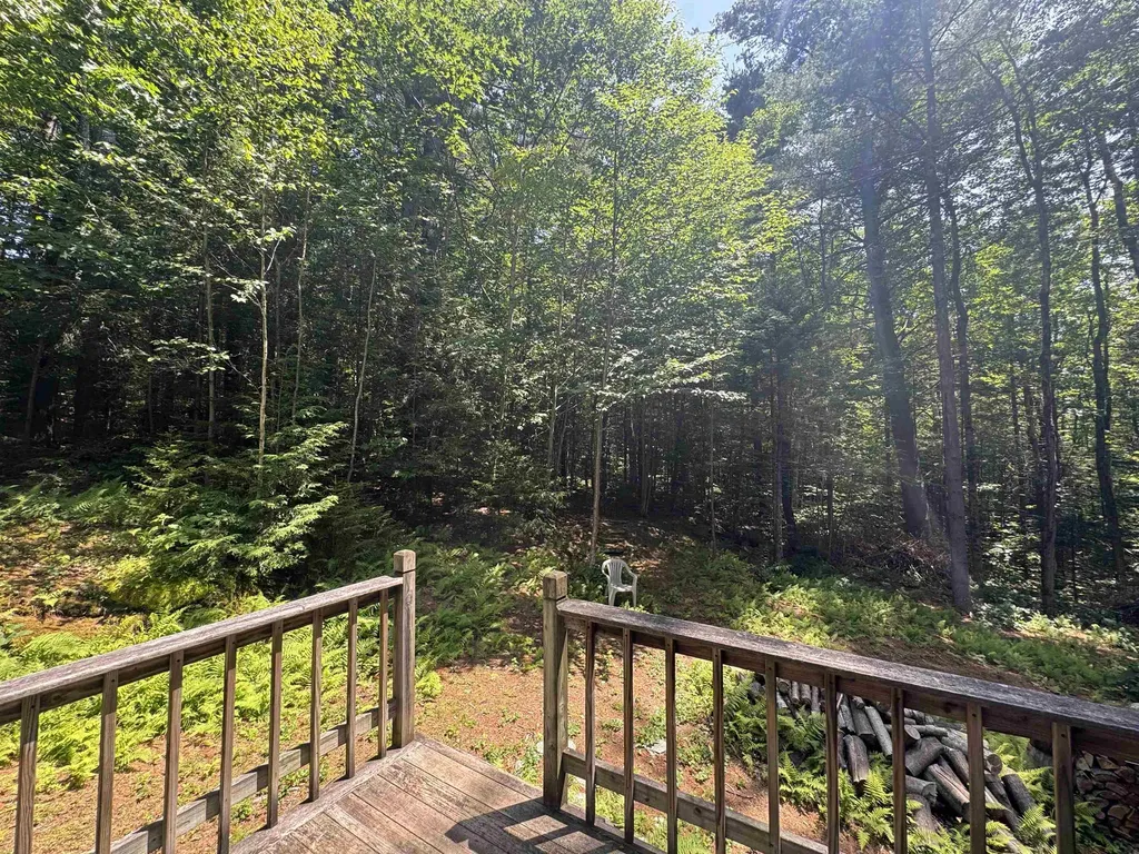1511 East Dover Road Wardsboro VT 05355