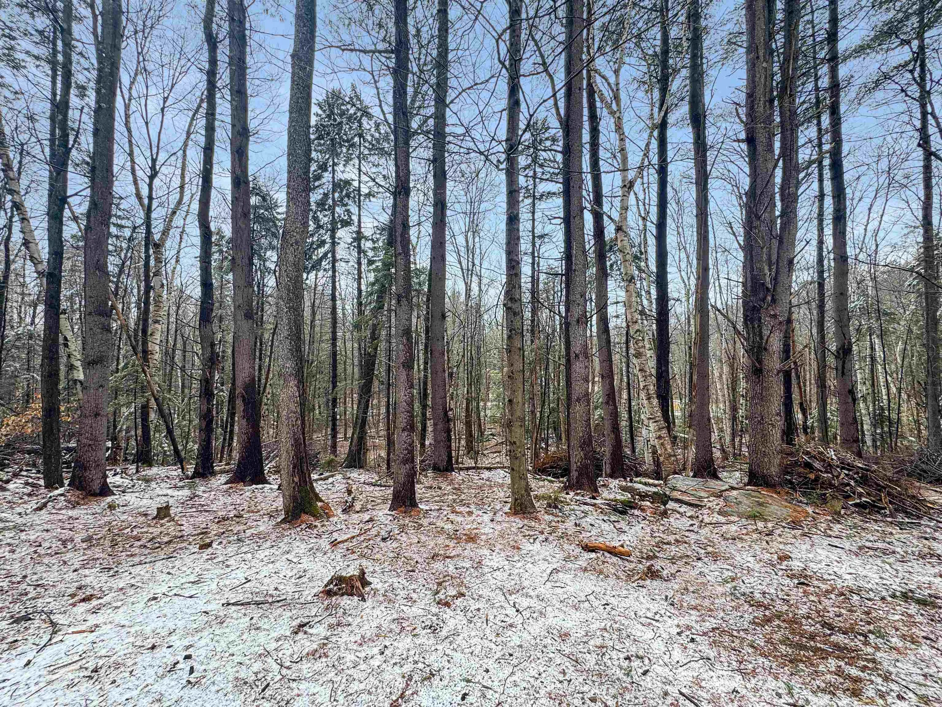 1511 East Dover Road Wardsboro VT 05355