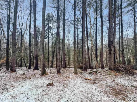1511 East Dover Road Wardsboro VT 05355