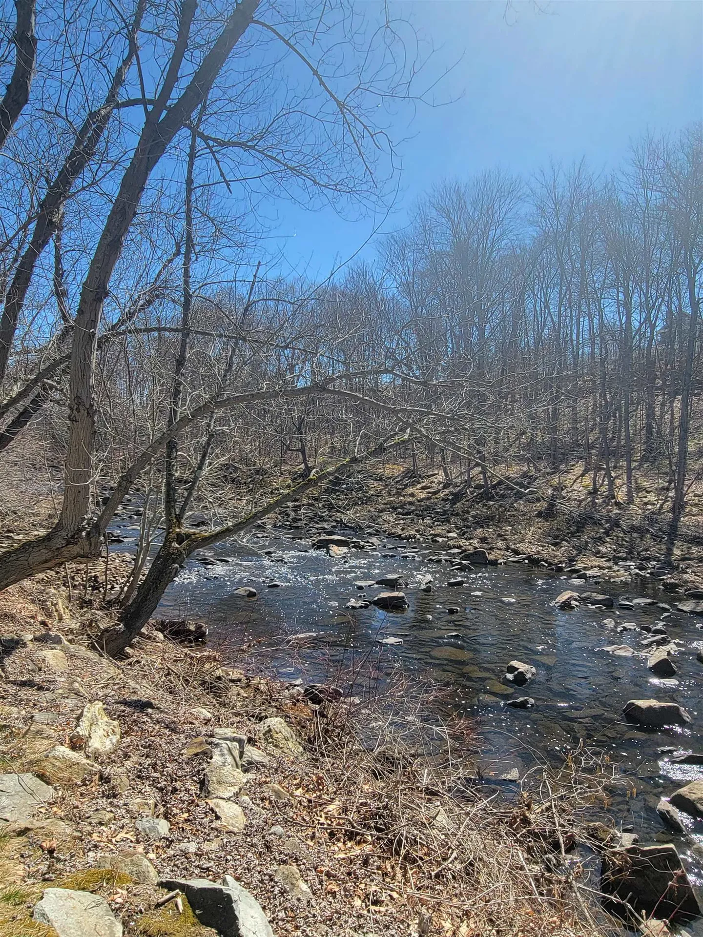 8 Mill Falls Road Pembroke NH 03275