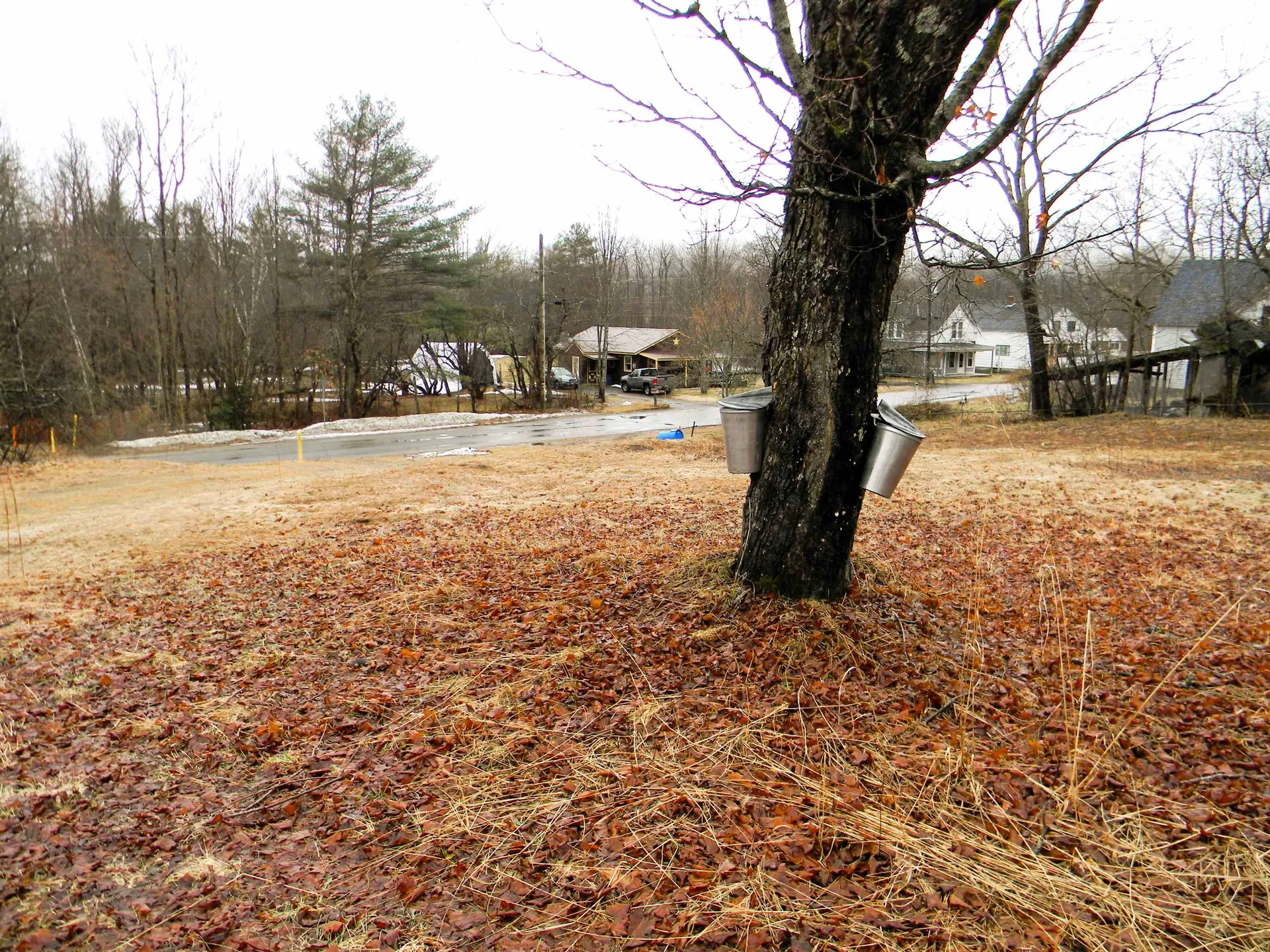 58 Hollow Road Stratford NH 03590