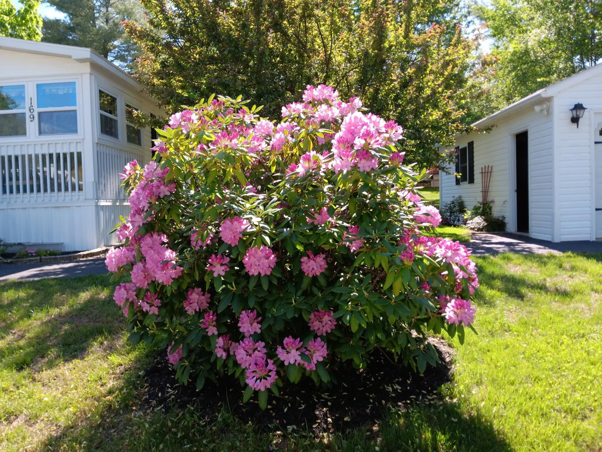 169 Eagle Drive Rochester NH 03868