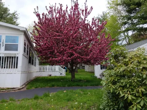 169 Eagle Drive Rochester NH 03868