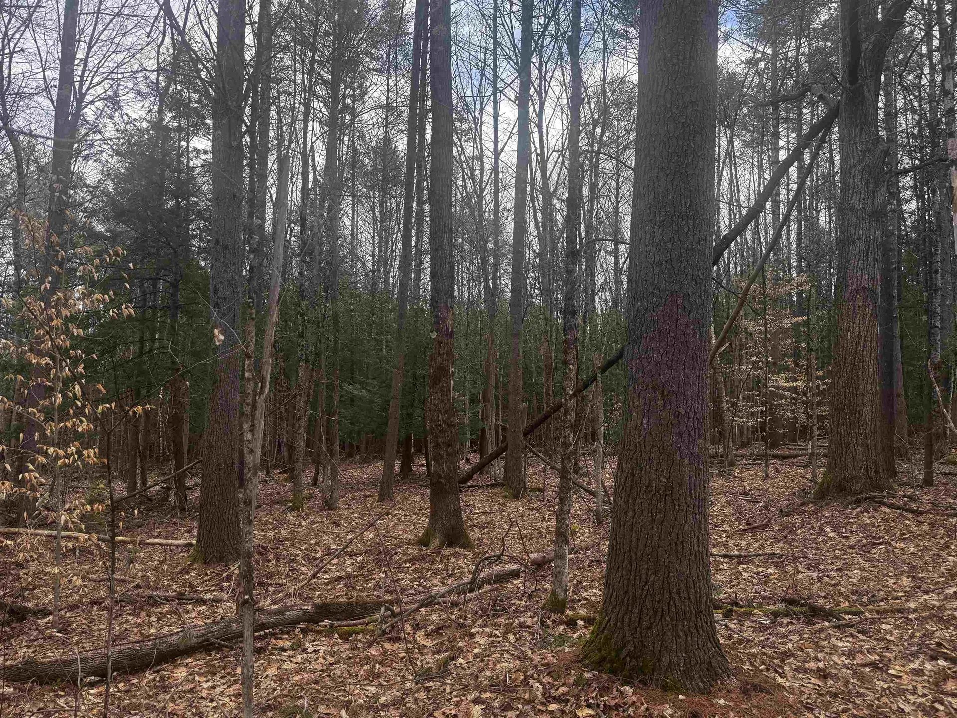 00 Chapman Road Keene NH 03431