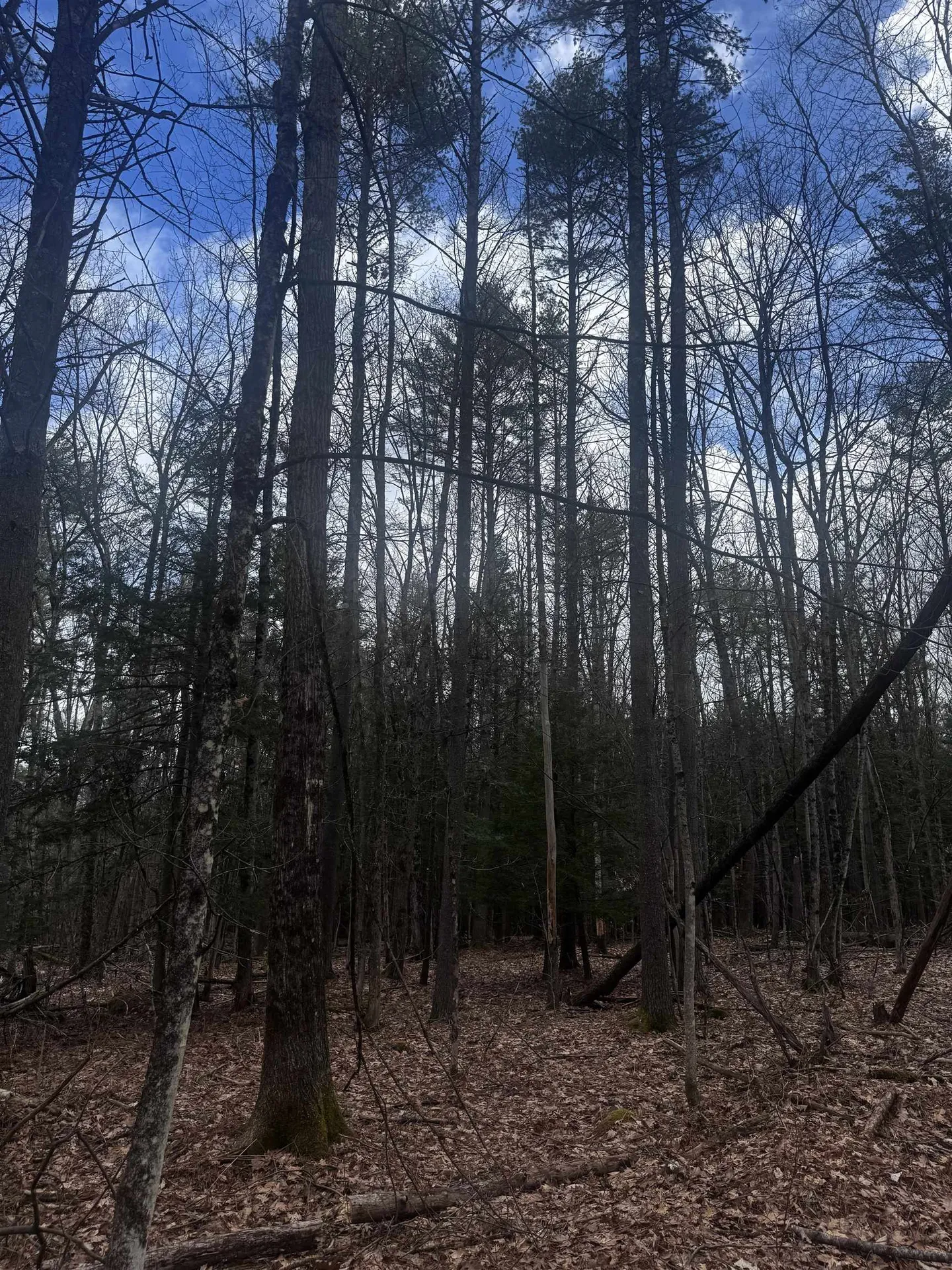 00 Chapman Road Keene NH 03431