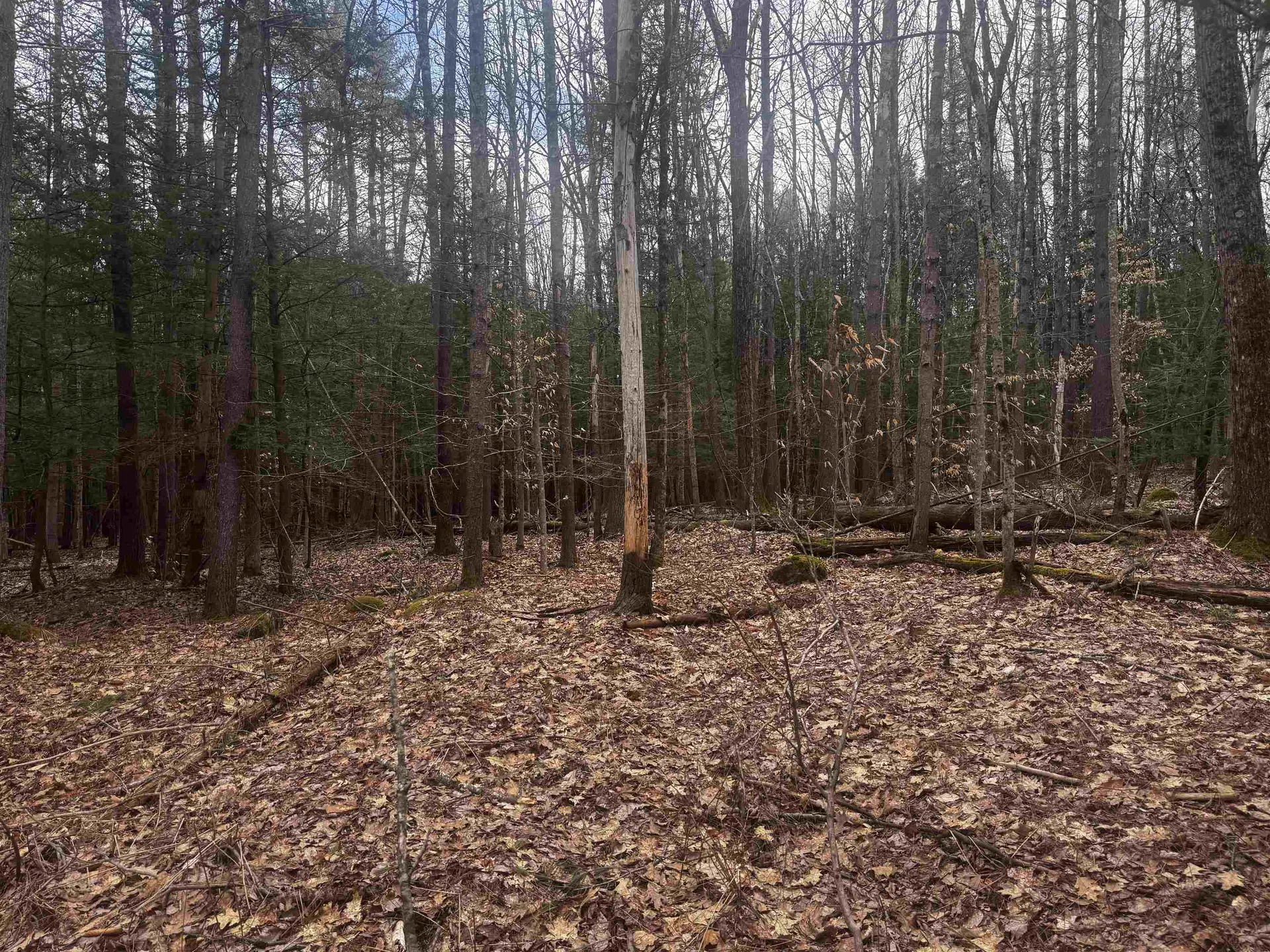 00 Chapman Road Keene NH 03431