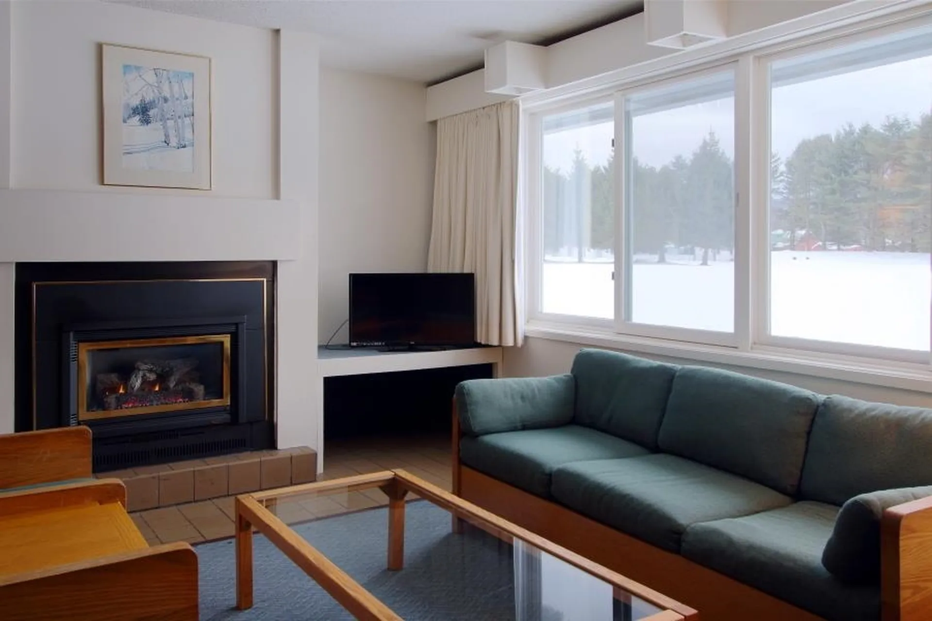 185 Village Green Drive Stowe VT 05672