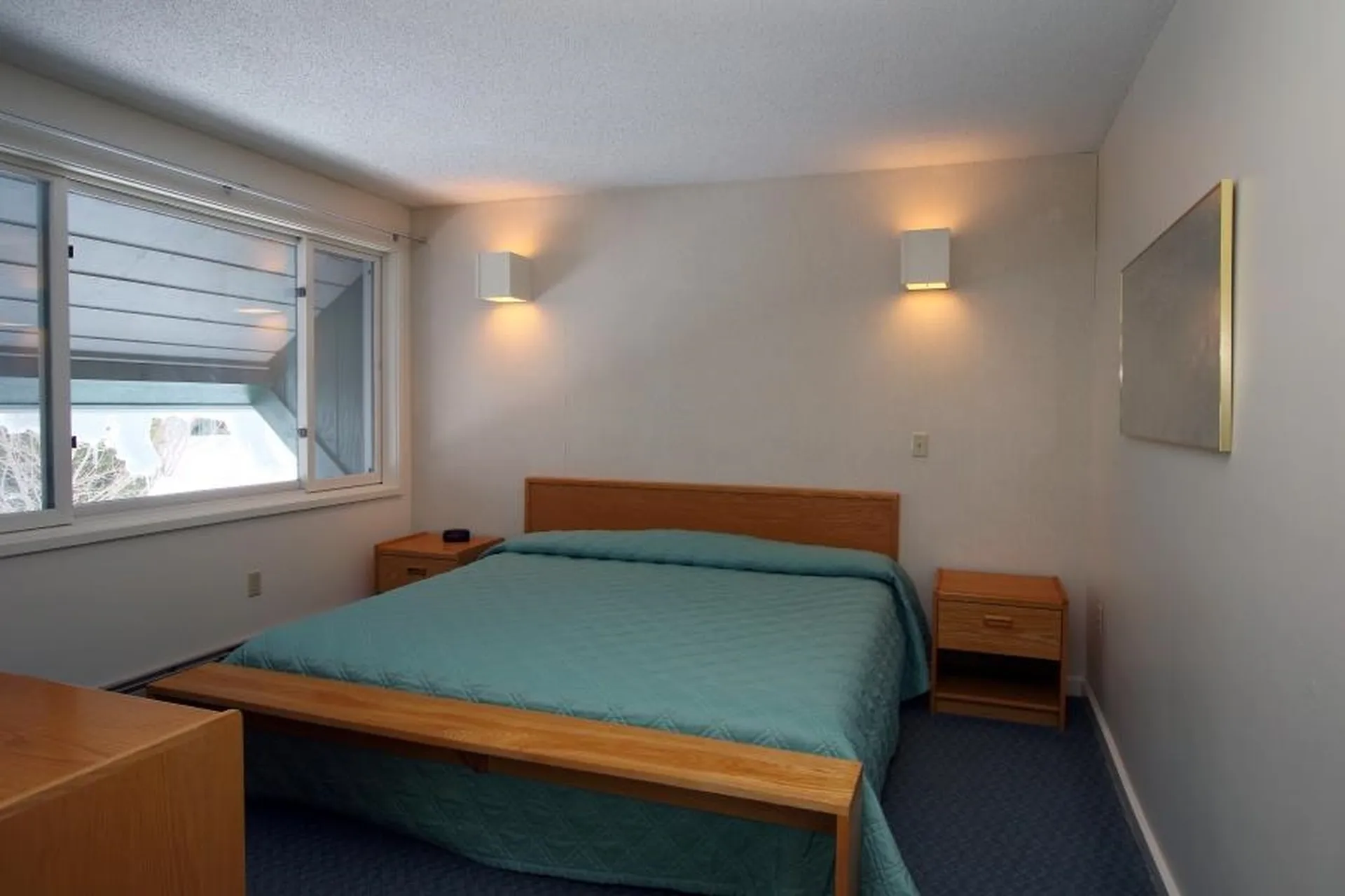 185 Village Green Drive Stowe VT 05672