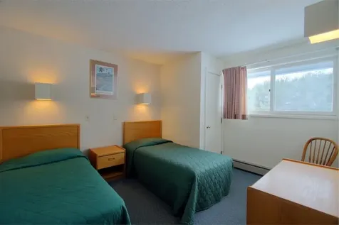 185 Village Green Drive Stowe VT 05672