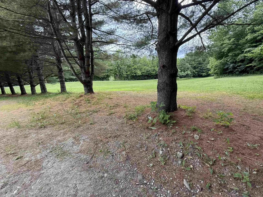 1226 Brainstorm Road Braintree VT 05060